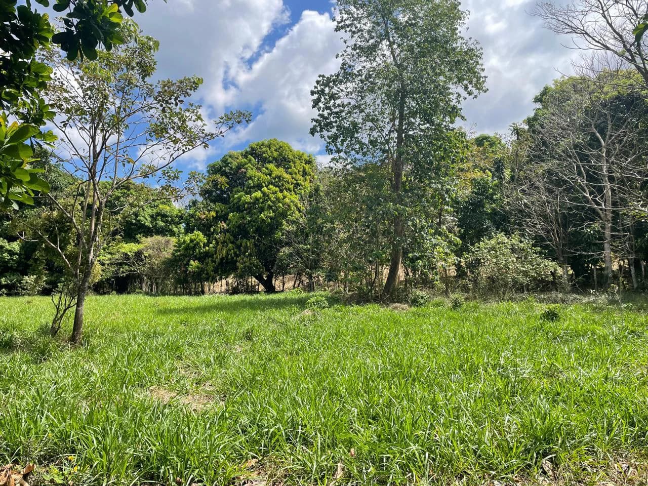 Peace, Privacy, Nature!: Finca in Eco friendly natural area - photo 6