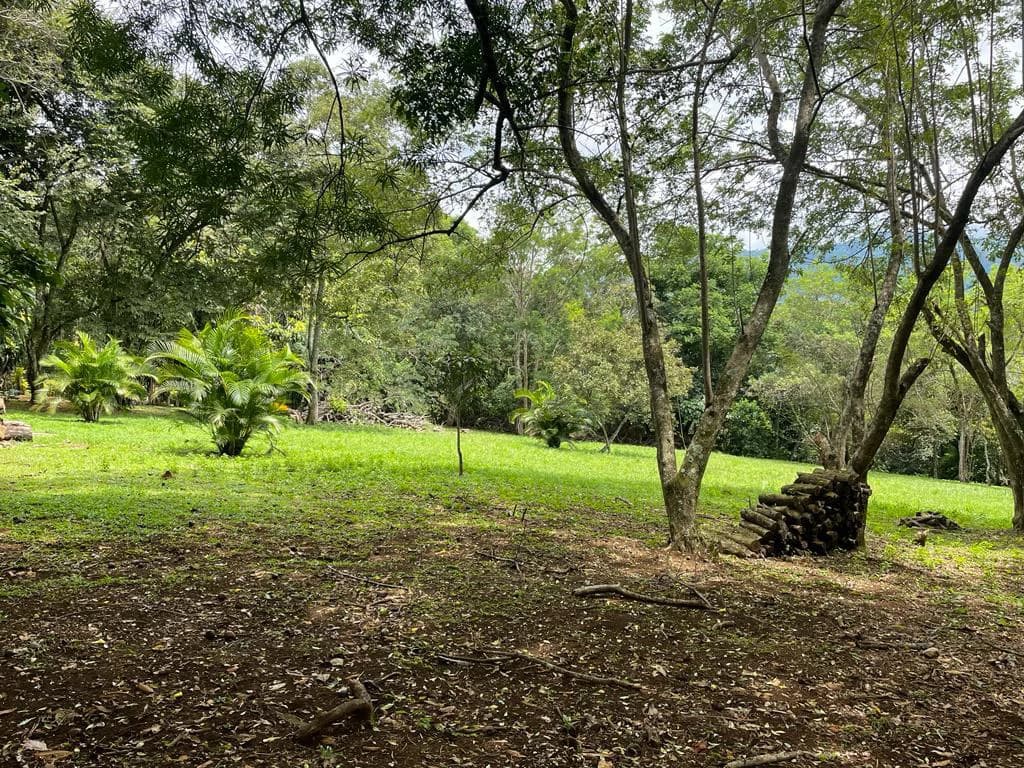 PROPIEDAD PARA INVERSION SABANA LARGA ATENAS: INVESTMENT PROPERTY