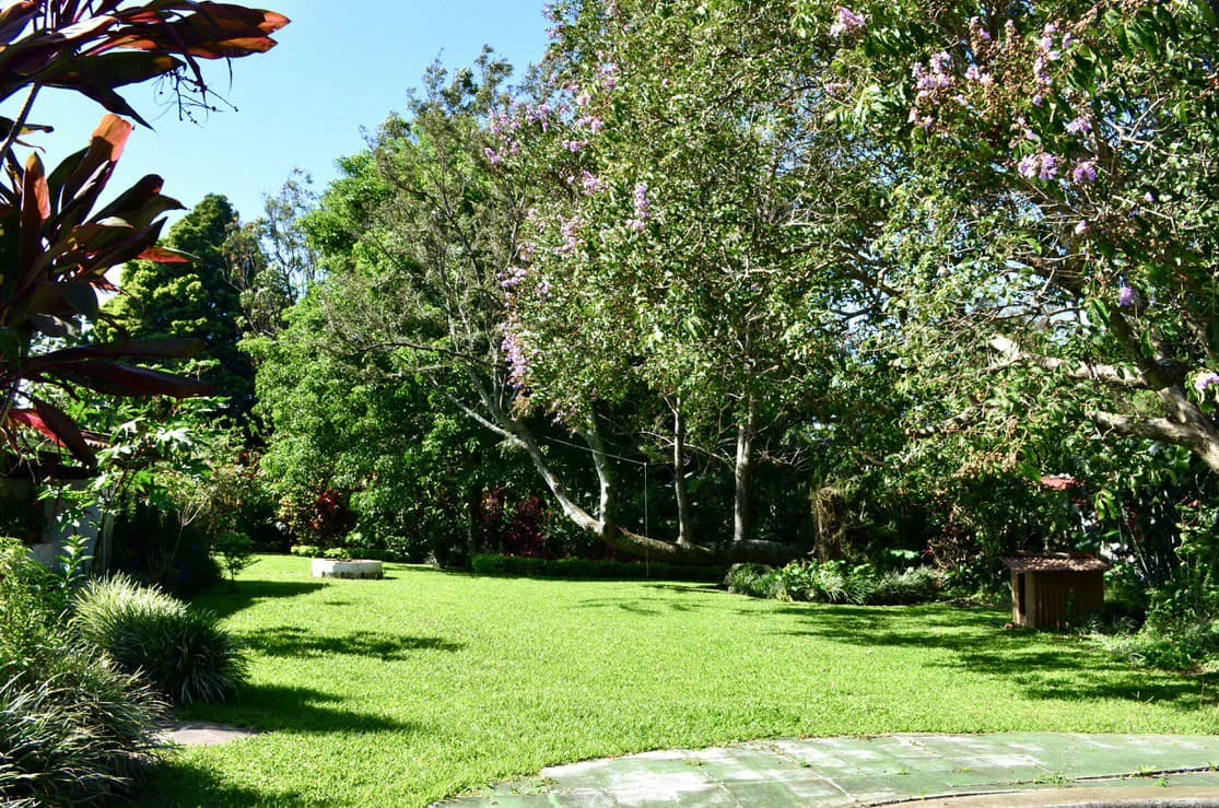 Commercial lot for sale in Santo Domingo, Heredia - photo 9