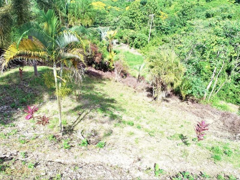 Captivating 3.15-Acre Property: Huge Pricedrop! Firesale Oceanview Lot in Tres Rios - photo 13