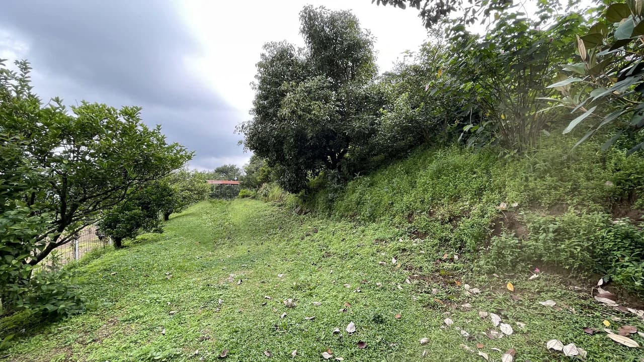 House for sale with large lots Grecia- San Isidro - photo 26