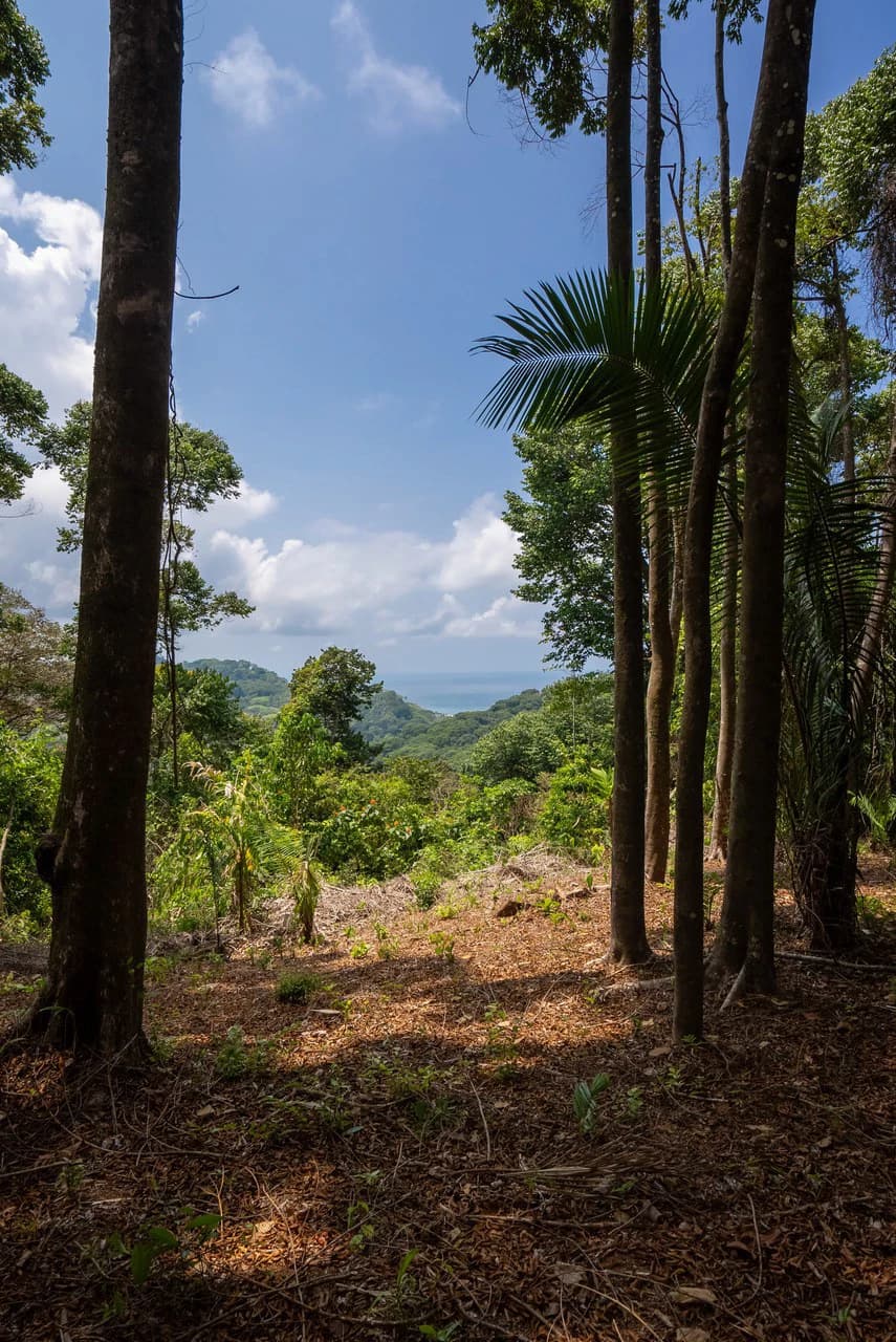 Rare 86-Acre Ocean View Estate Bordering Hacienda Barú – A Unique Opportunity for Conservation and Development - photo 40