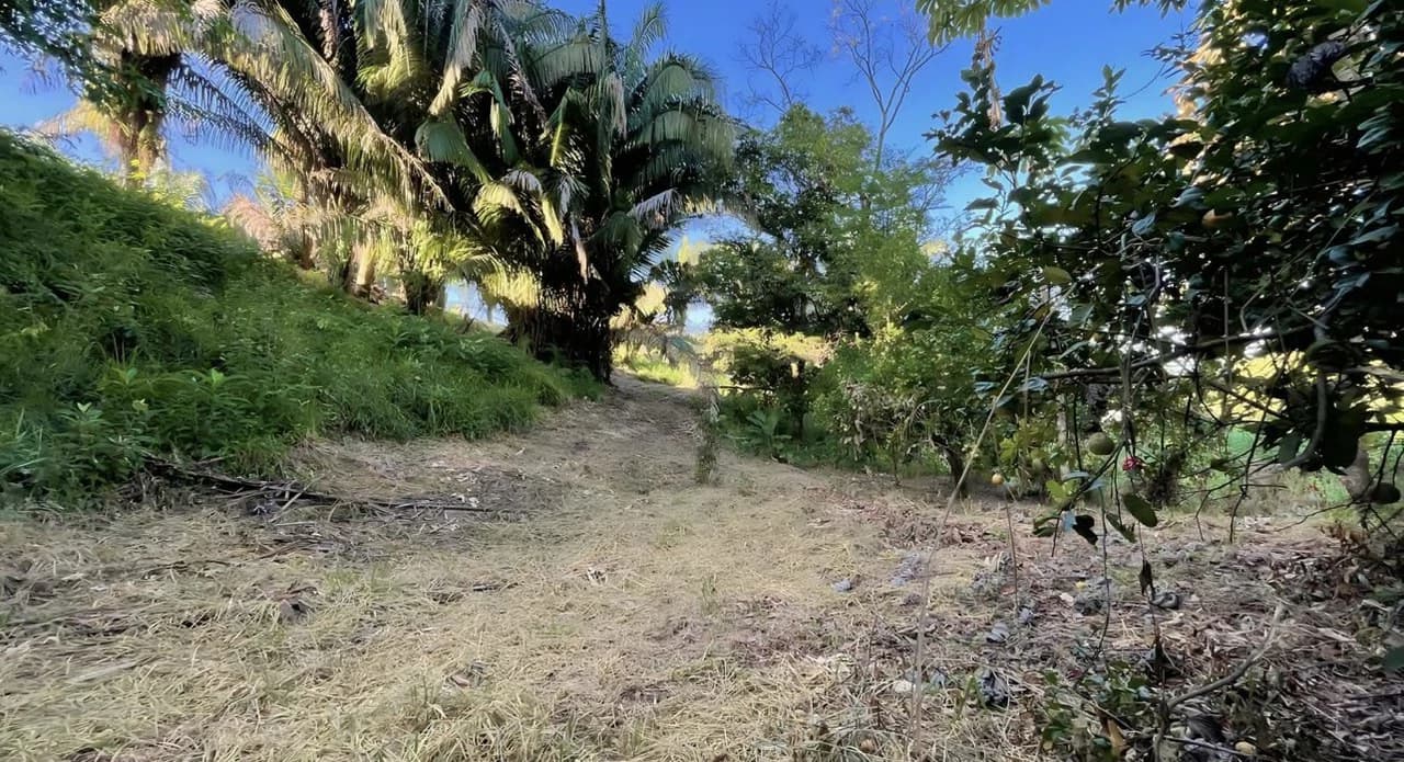 Exclusive Hermosa 1.2 Acre Lot with Panoramic Mountains and Ocean View. - photo 16