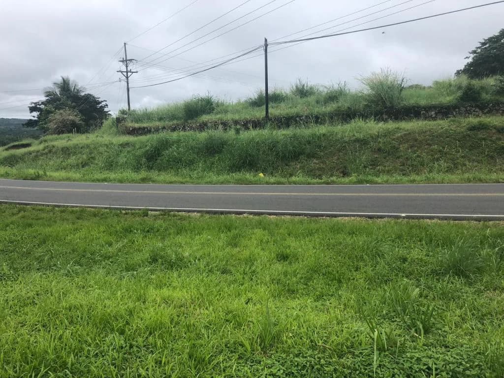 Lot with High Development Potential in Bijagua, Valle de Miravalles, Costa Rica - photo 2
