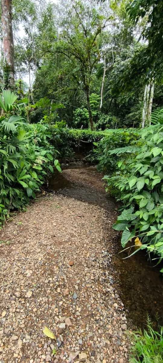 23 Acres of Paradise at Bahia Drake - photo 20