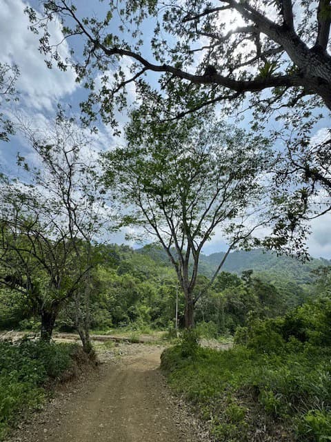 Finca Herradura, Frente a Los Sueños: Development Land Herradura - photo 7