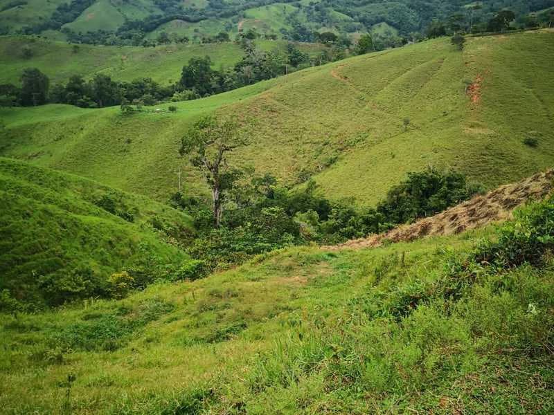 Livestock Farm | Titled property located in Santa Eduviges - photo 20