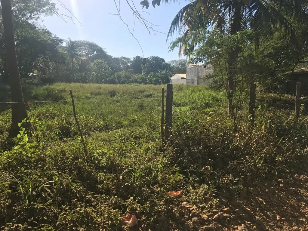 Large beach property in Playas del Coco - photo 8