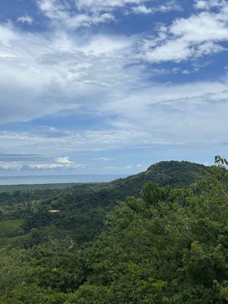 Panoramic 180 Degree Ocean View Lot Ready To Build Close To Ojochal - photo 50
