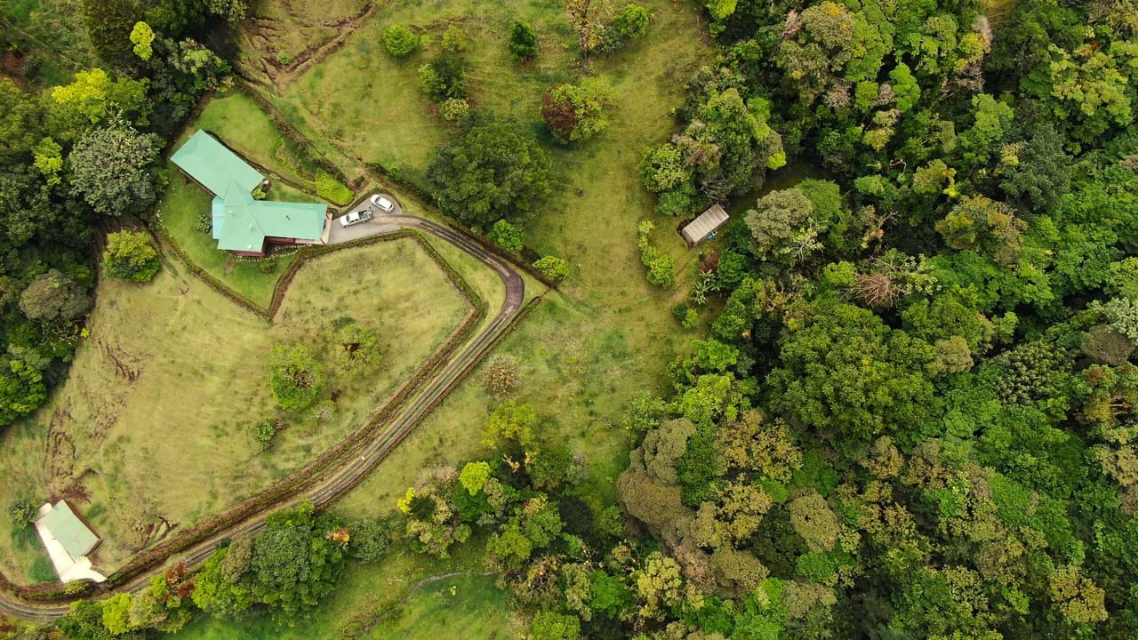 Hidden Paradise in Monteverde. Sierra Verde SV0125: 5 Hectares with Spectacular Views, a Beautiful and Cozy Main House and Caretaker’s Home Just 10 Minutes from Monteverde - photo 9