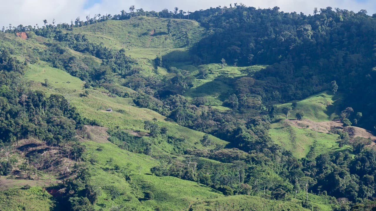 Off Grid 70-Hectare Farm with Stunning Ocean Views and Freshwater Springs - photo 22