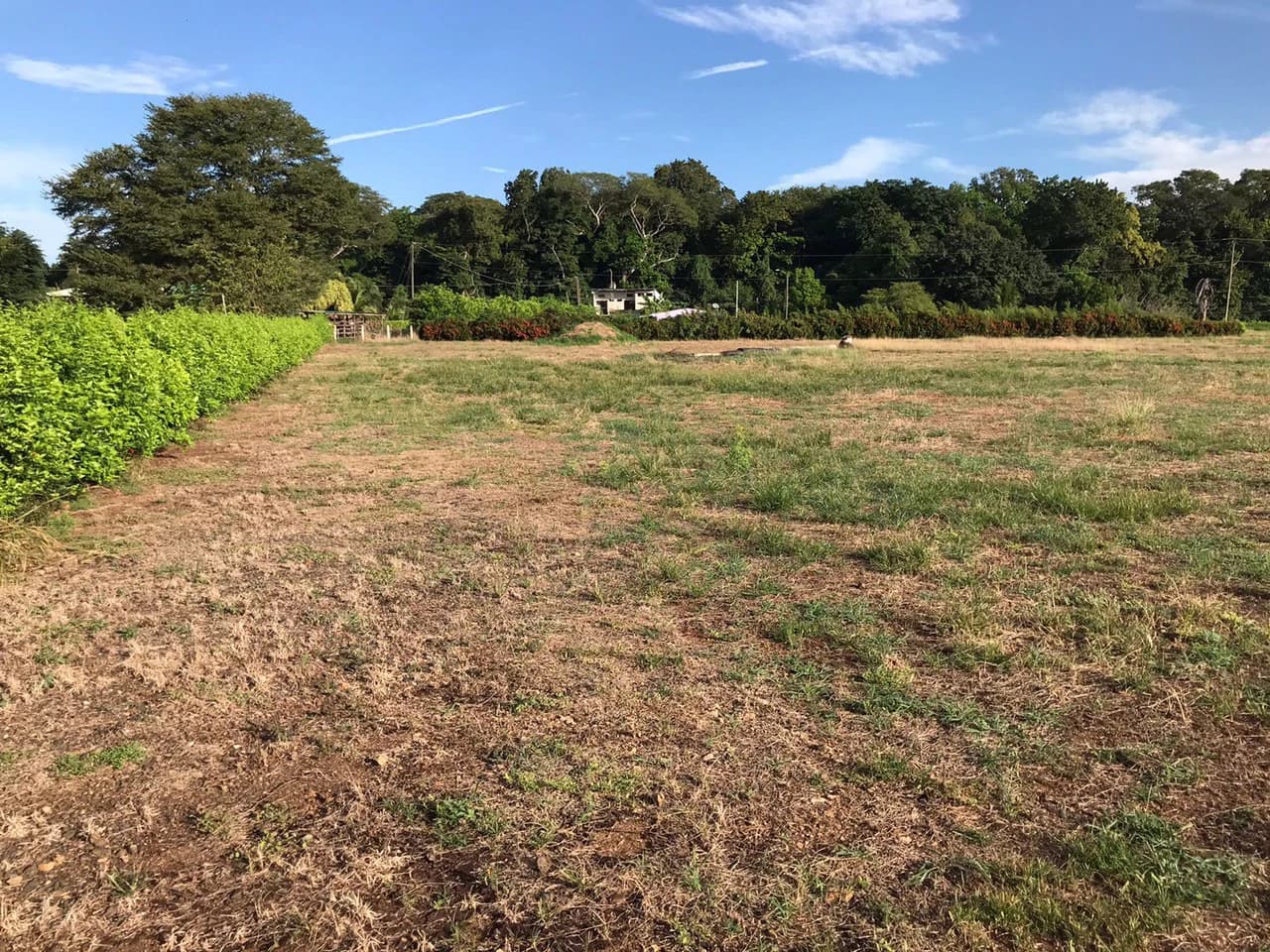 Barrio Limón in Santa Cruz – Excellent future location for a residential project with 130 water connections, investment opportunity - photo 4