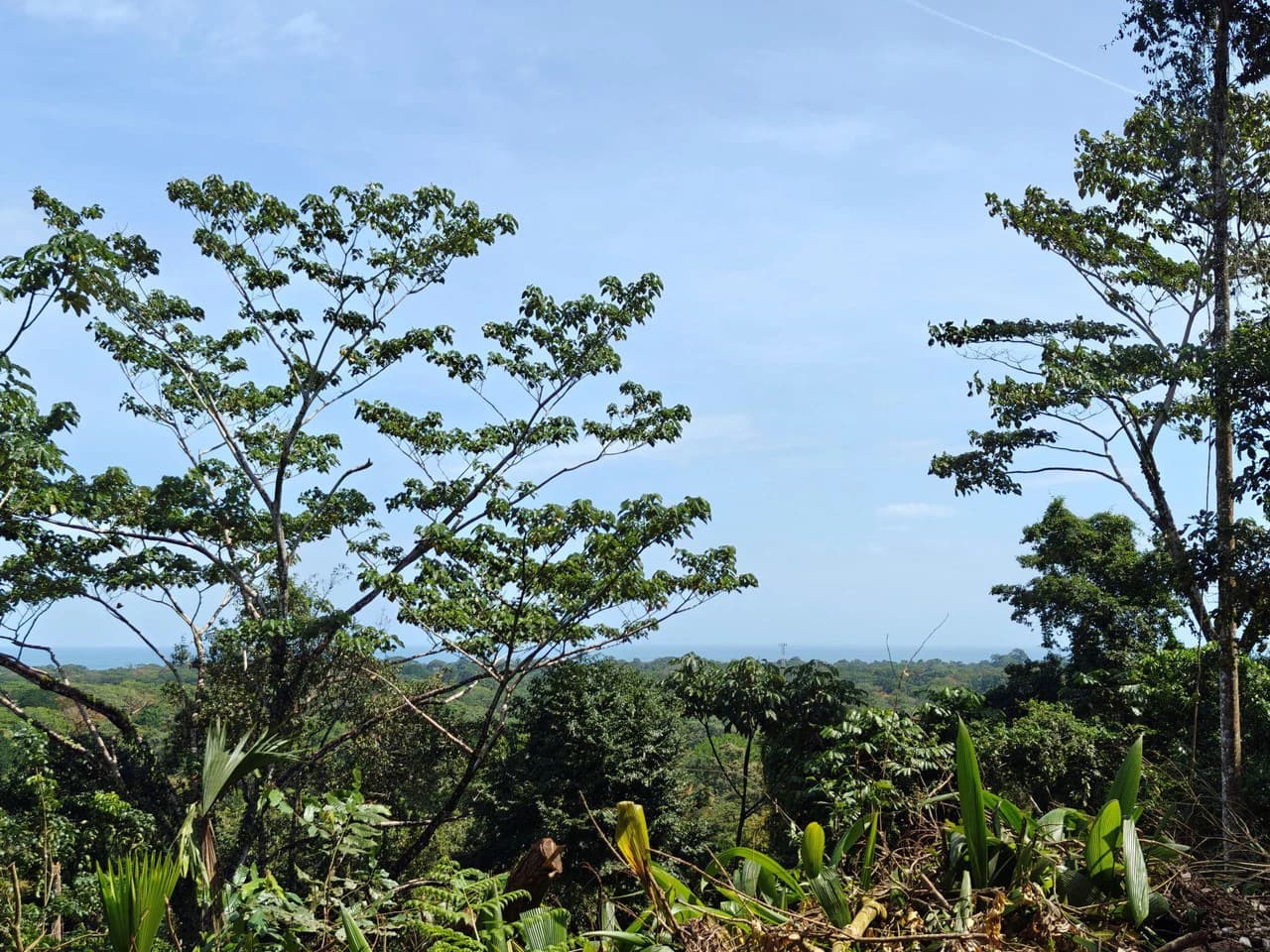 61,618m² of Land near Cahuita: With Existing Infrastructure and Ocean View - photo 2