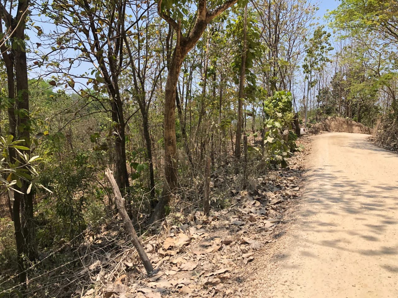 Prime Real Estate Opportunity, Lot with Creek Border in Santo Domingo hills - photo 12