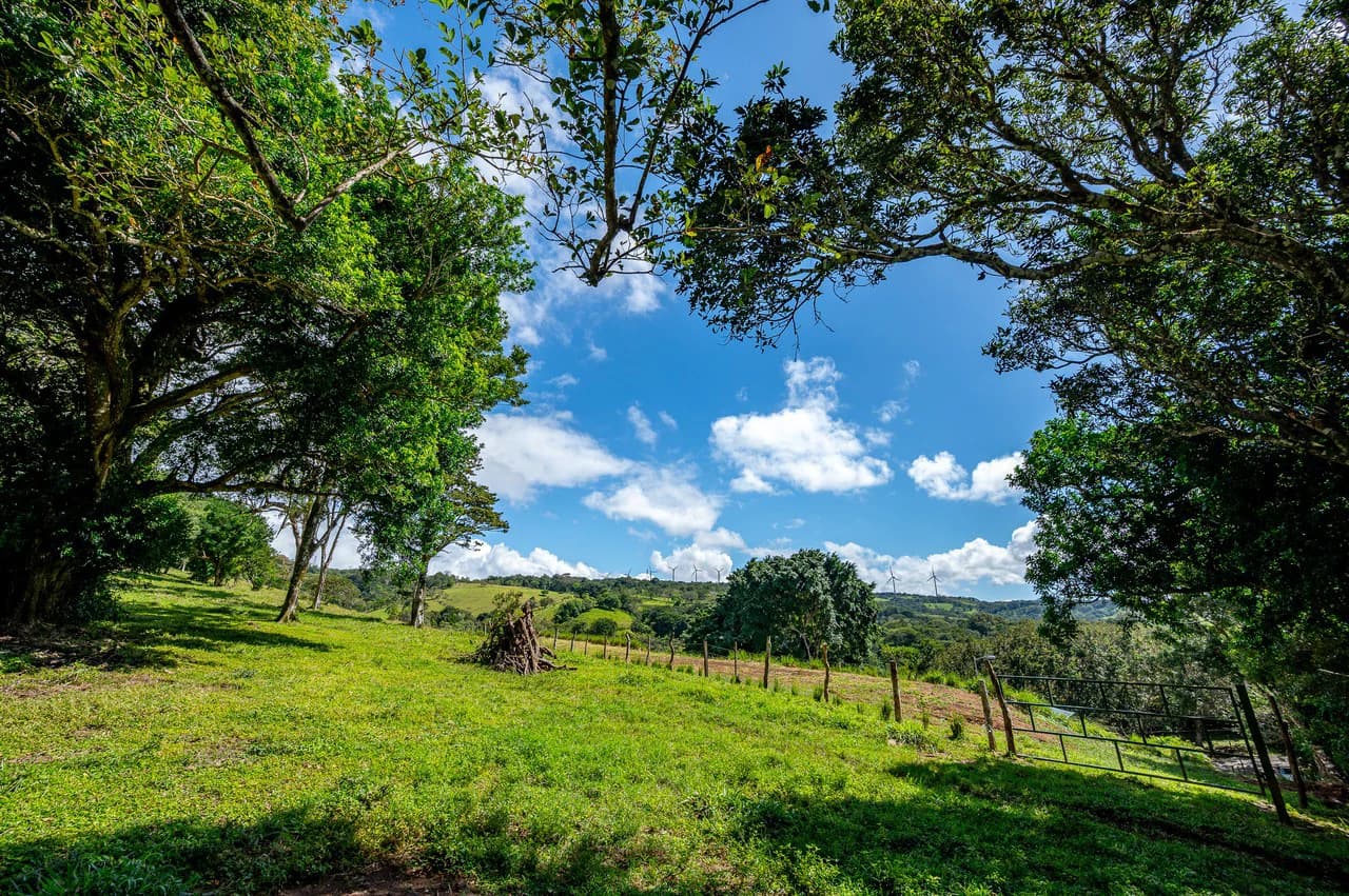 LA CABAÑA - 13+ ACRES & a TINY HOUSE & outstanding VIEWS - REDUCED PRICE - SELLER MOTIVATED - photo 49