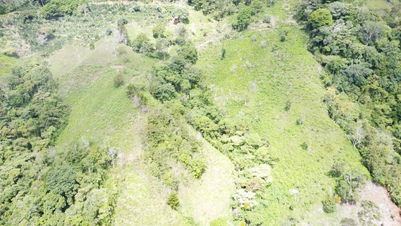 LOTE EN HERRADURA RIVAS.: Mountain Agricultural Land For Sale in San Isidro del General - photo 26