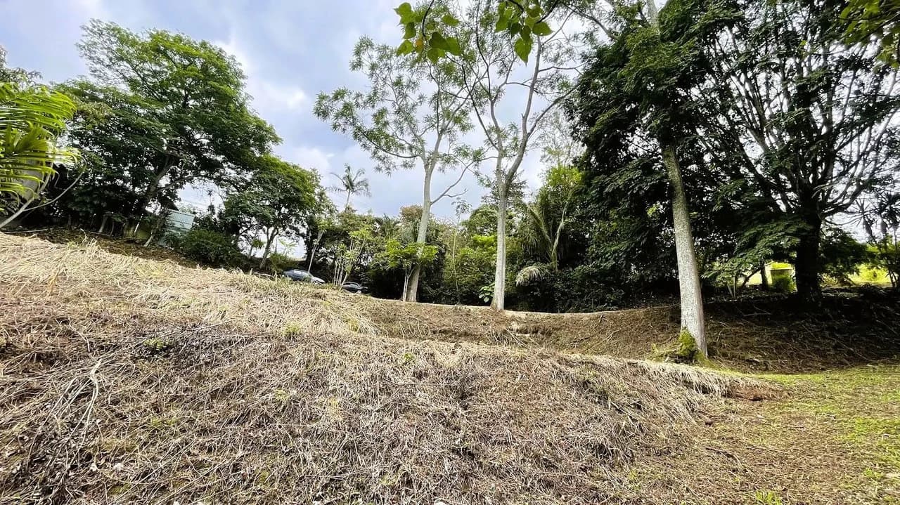 LAND FOR SALE IN SAN MIGUEL, NARANJO - photo 13