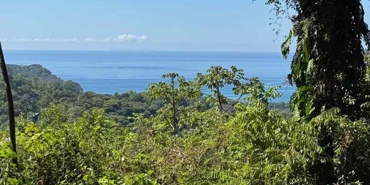 Two Ocean View Lots in Uvita – Easy Access and Large Building Sites - photo 3