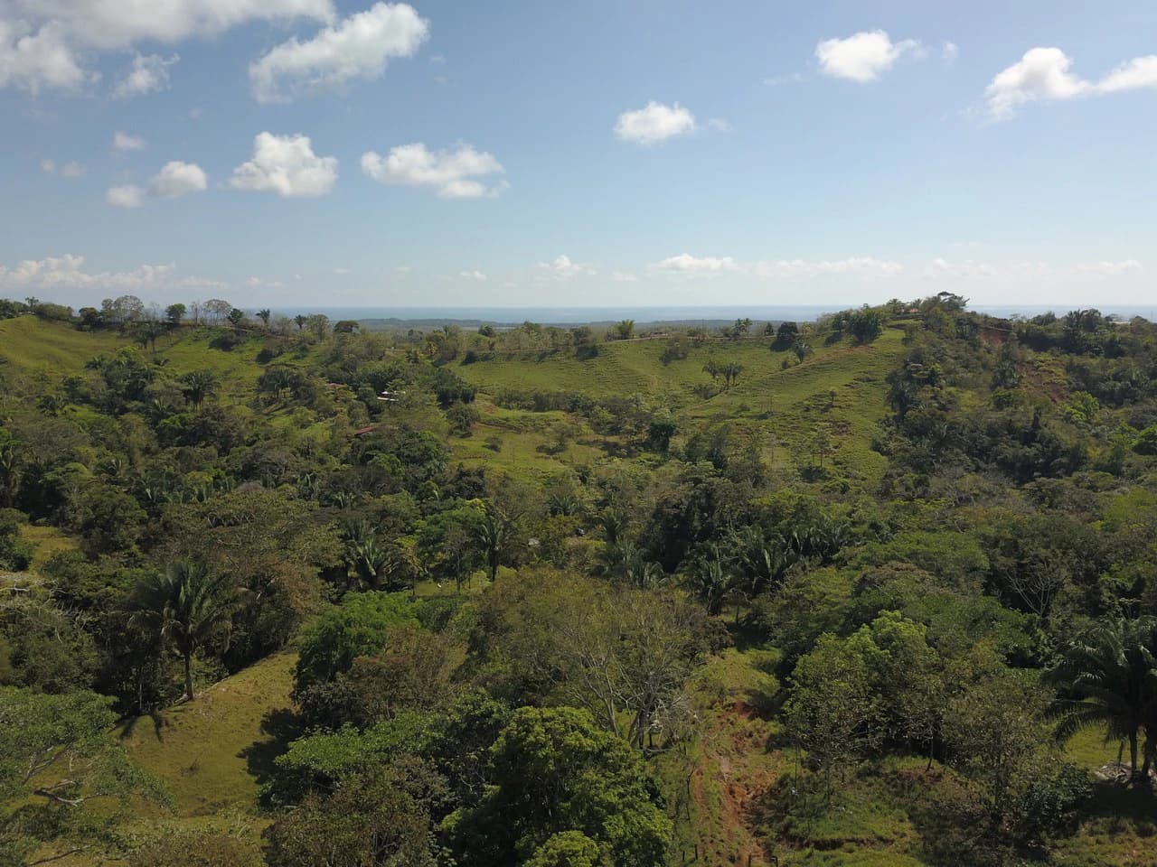 Finca Guapinol de Parrita: Near the Coast, Mountain and Countryside Agricultural Land For Sale in Parrita - photo 12