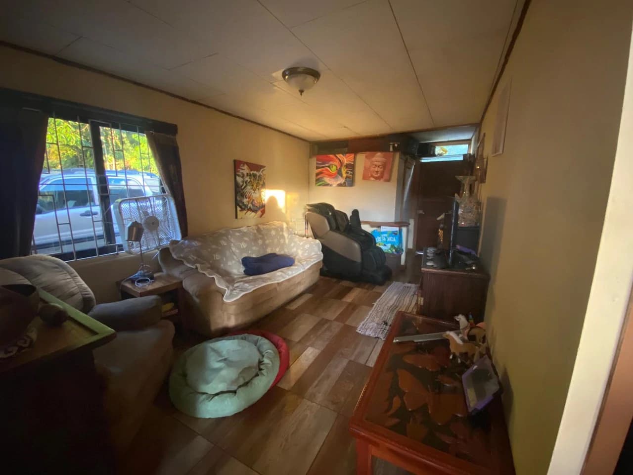 Lake Arenal Area - Sabalito - Great Location - Fantastic Price - photo 6