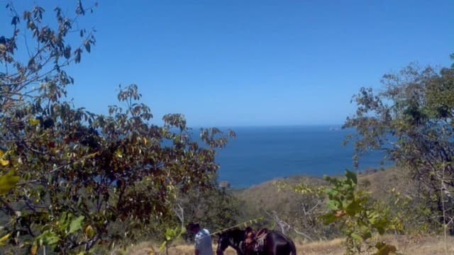 Los Nubes - Clouds: Near the Coast Development Parcel For Sale in Matapalo - photo 4