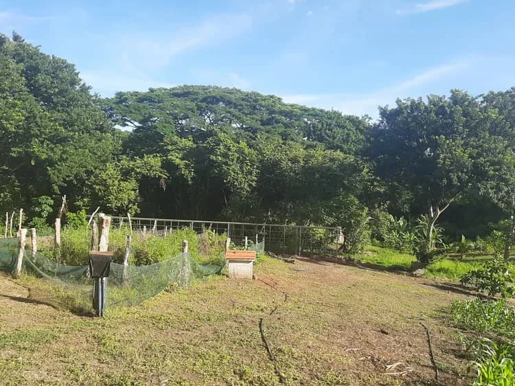 Organic Finca Eco Dreams: $799,000 USDOrganic Finca Eco Dreams – Sustainable Eco Farm for Sale Near Playa Naranjo, Costa Rica Luxury Self-Sustainable Farm, Solar-Powered Estate & Investment Property o - photo 34