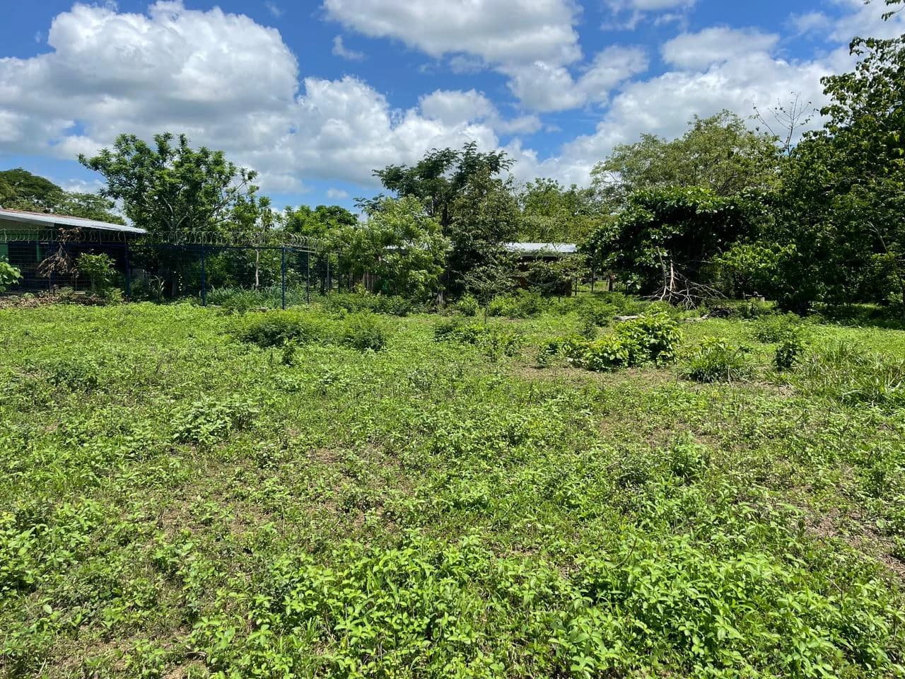 Building lots for sale, 6 available properties 10 minutes away from Liberia - photo 6