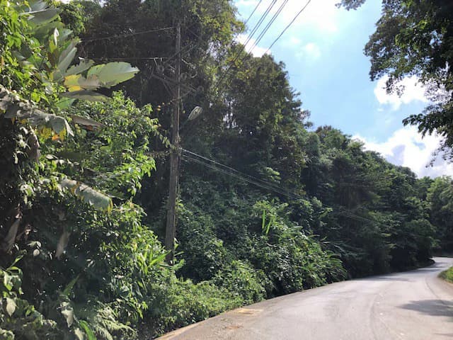6.5 ACRES – Space To Grow, Build & Thrive, Close To The Beach & Commercial Potential Road Frontage!!!!!: Mountain and Countryside Development Parcel For Sale in Platanillo de Dominical - photo 14
