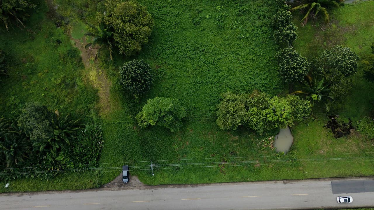 Strategic 5000sqm Commercial Property in Uvita: Perfect for any Business Vision - photo 3