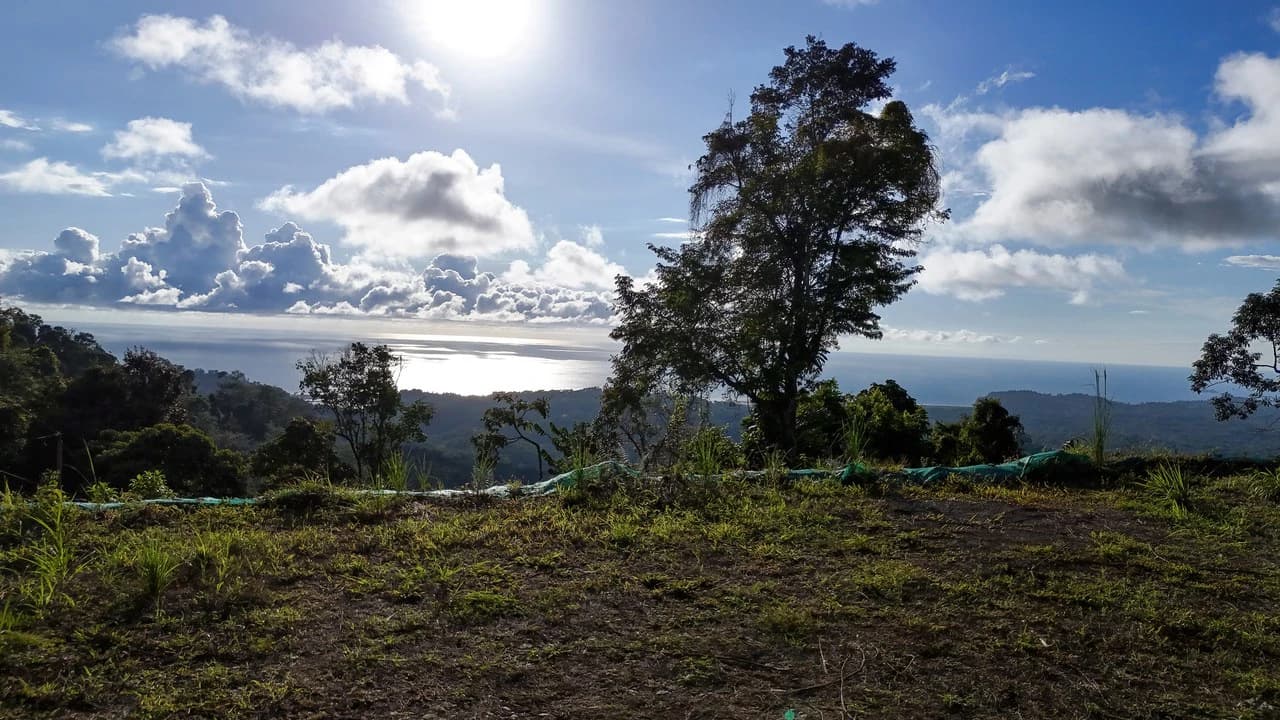 Year-Round Sunset Views | 3 Connected Build-Ready Lots - photo 18