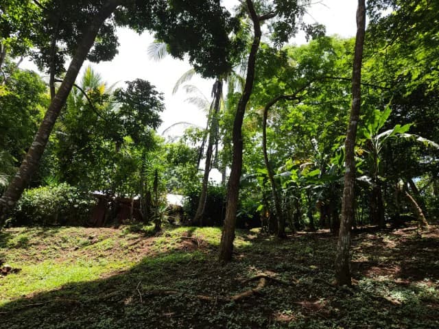 Nosara's Brand New Top Villas as a Business Opportunity in the dense forest of catchment area, 7 villas for sale in Costa Rica's Healthy Blue Zone - photo 27