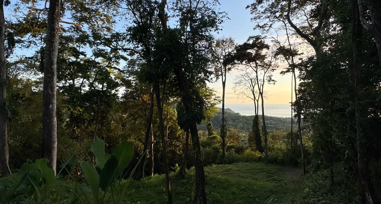 Two Ocean View Lots in Uvita – Easy Access and Large Building Sites - photo 4
