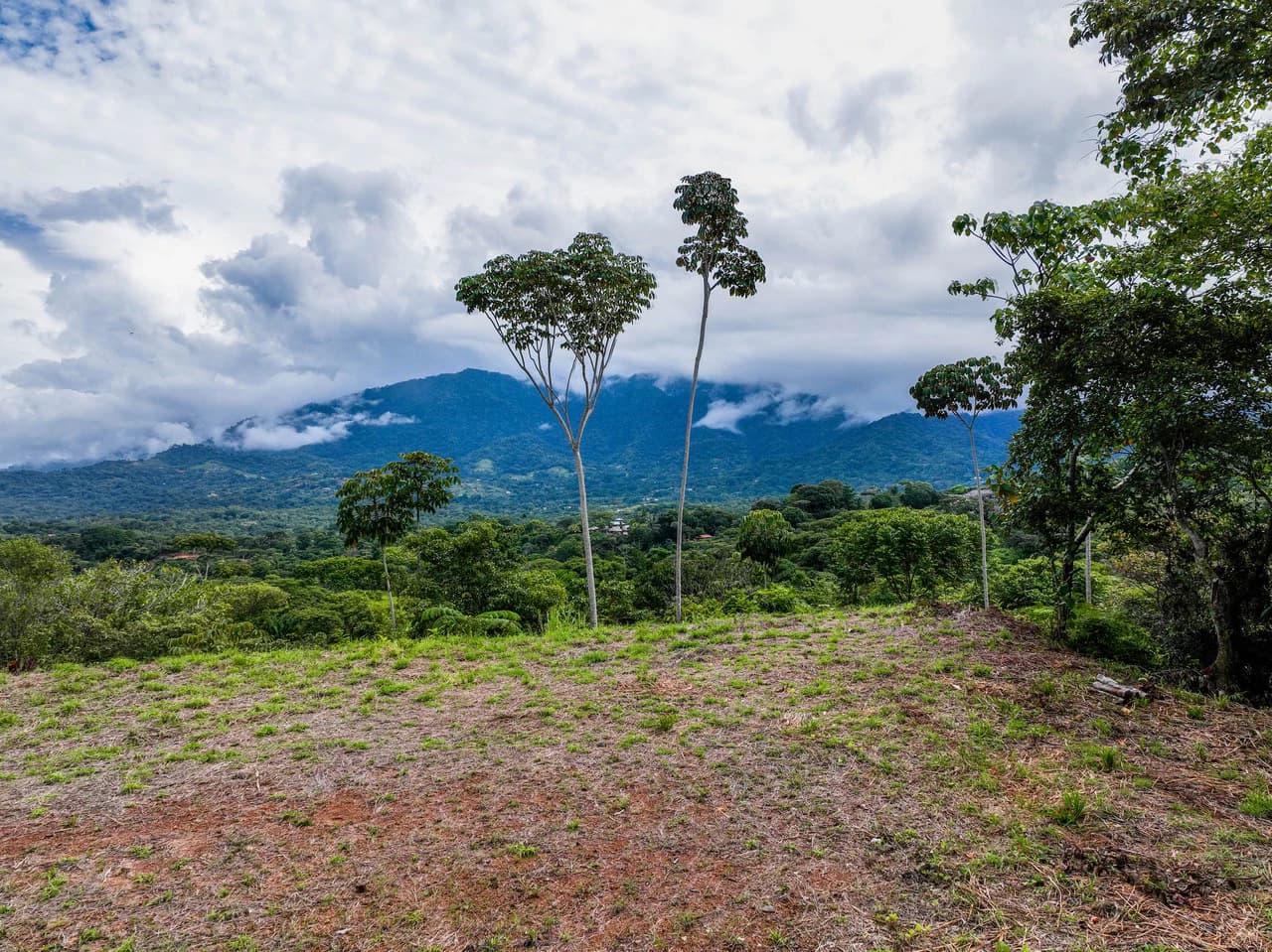Ocean, Mountain View Ready to Build Lot on Desired Calle Perezoso - photo 1