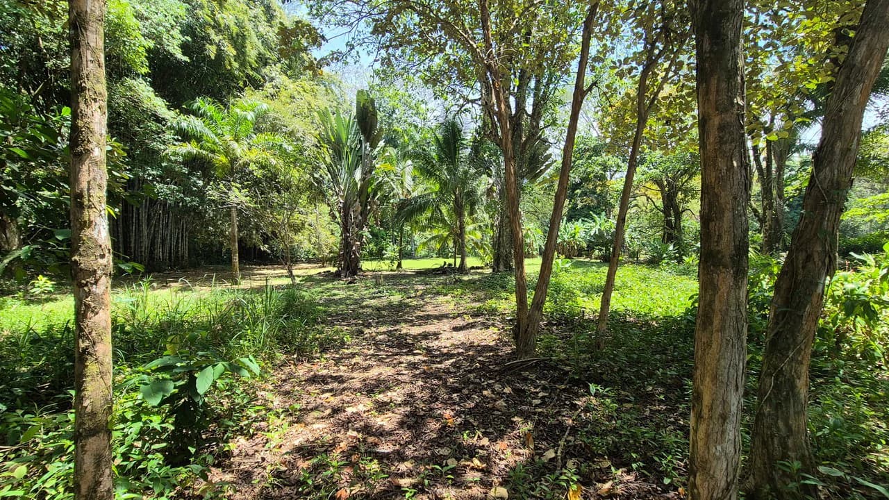 Dream Beachfront Property at Ballena Beach in Uvita, Costa Rica - photo 23