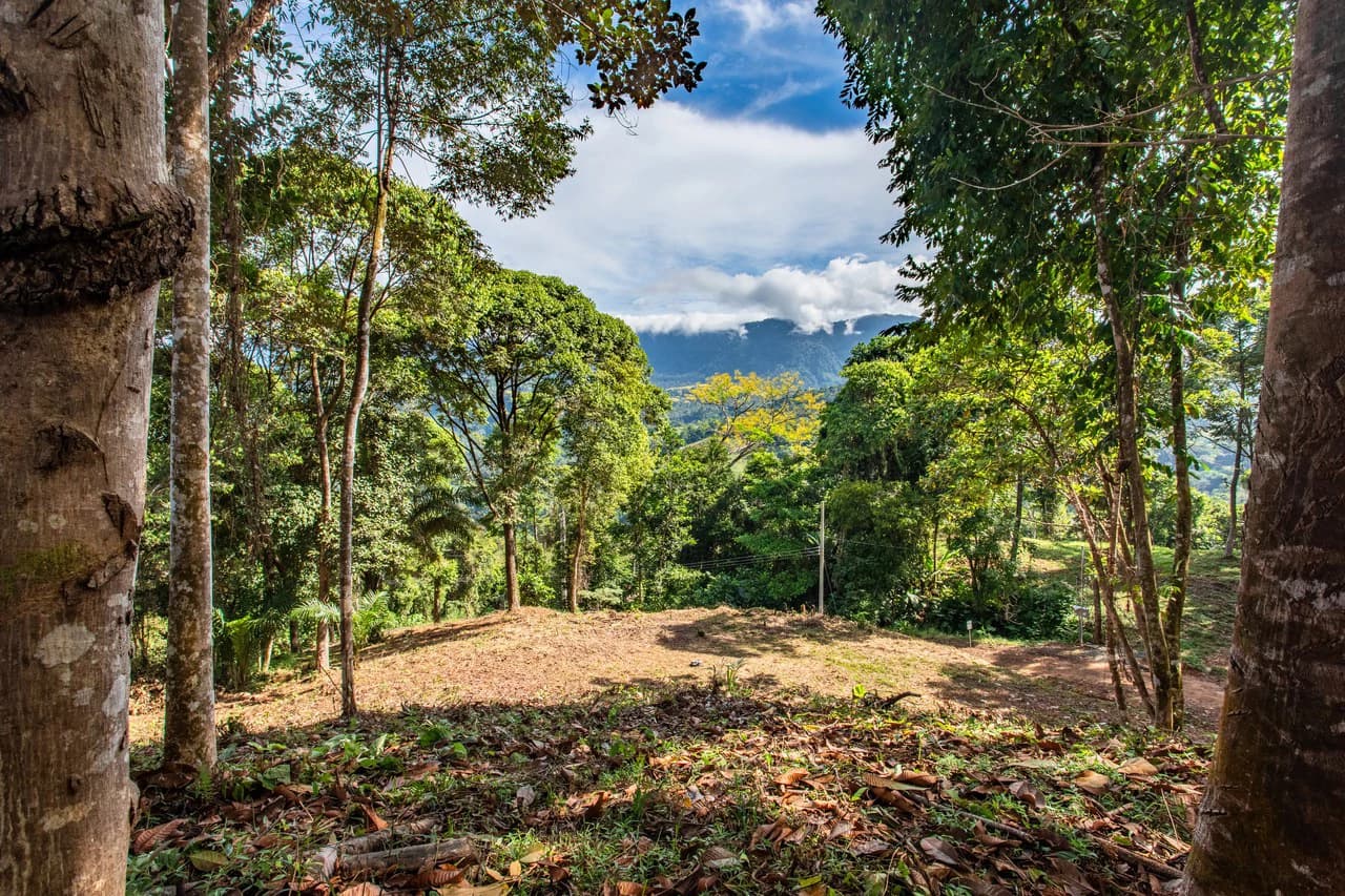 2.9 Acre Paradise with Diamante Valley Views Dominical - photo 17