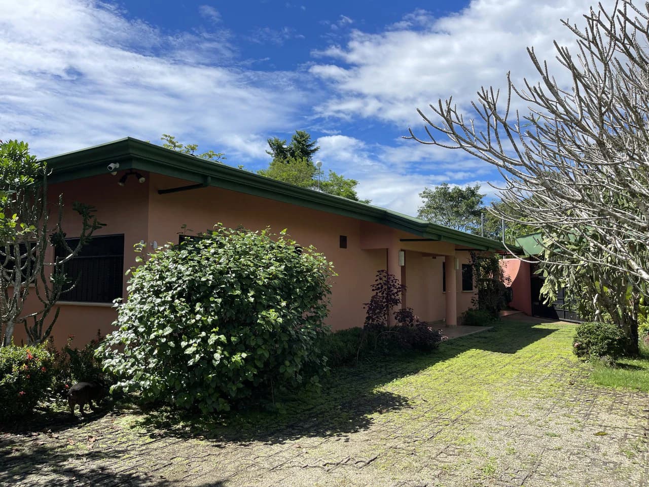 5.2 ACRES – 2 Bedroom Home With 60 Ft Infinity Lap Pool, 1 Bedroom Guest House, Fabulous Ocean View, Mature Fruit Trees!!! - photo 12