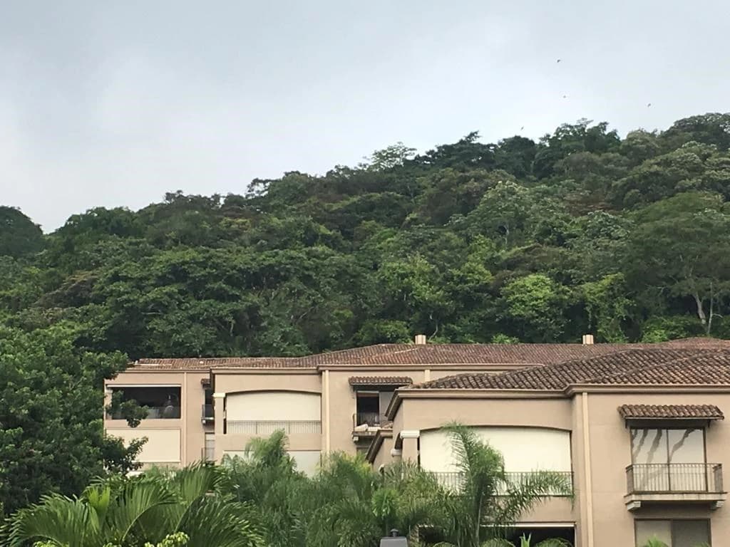 Apartment For Sale in Pozos - photo 21