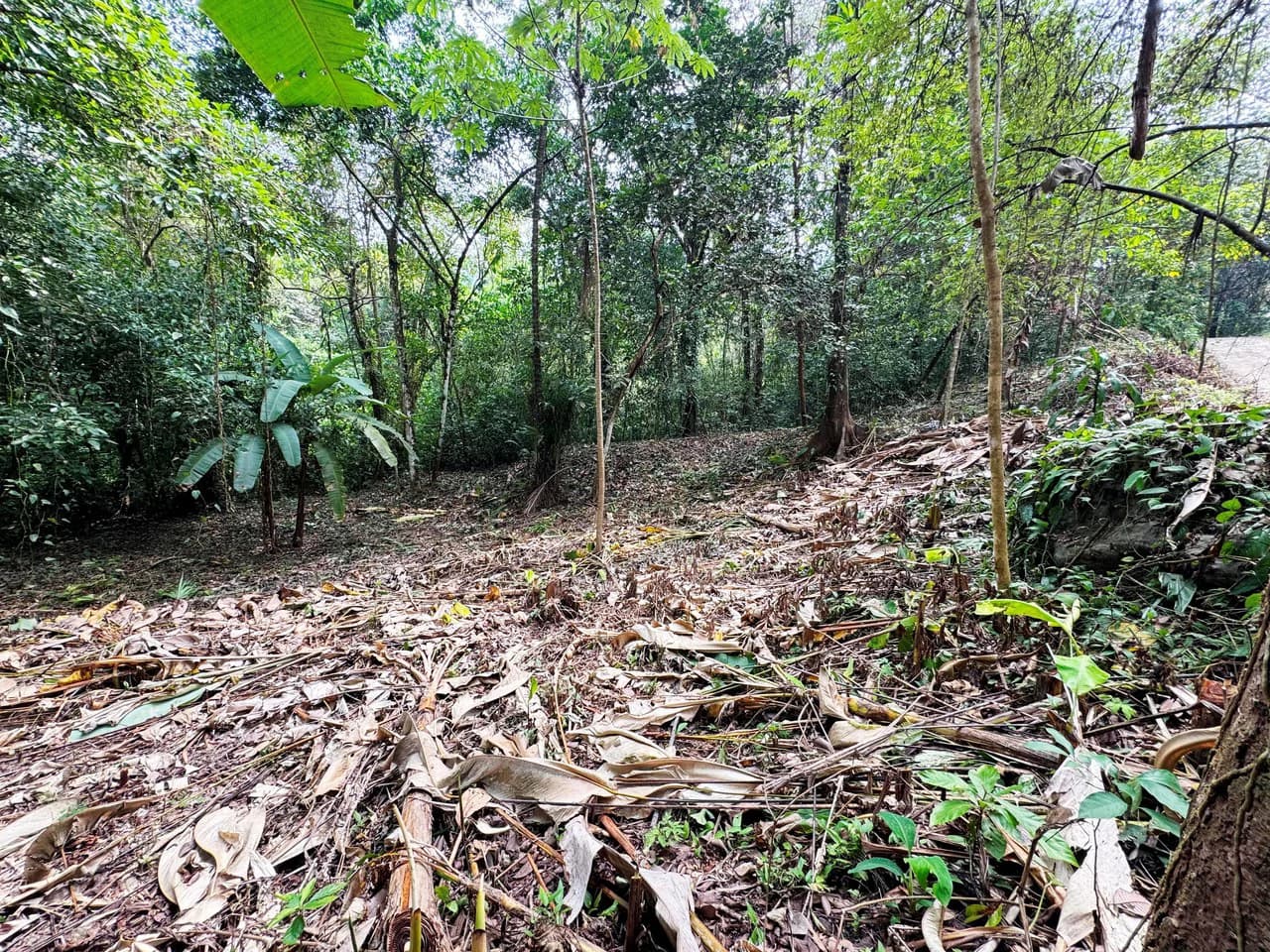 1 Acre Jungle Lot with River in Playa Dominical