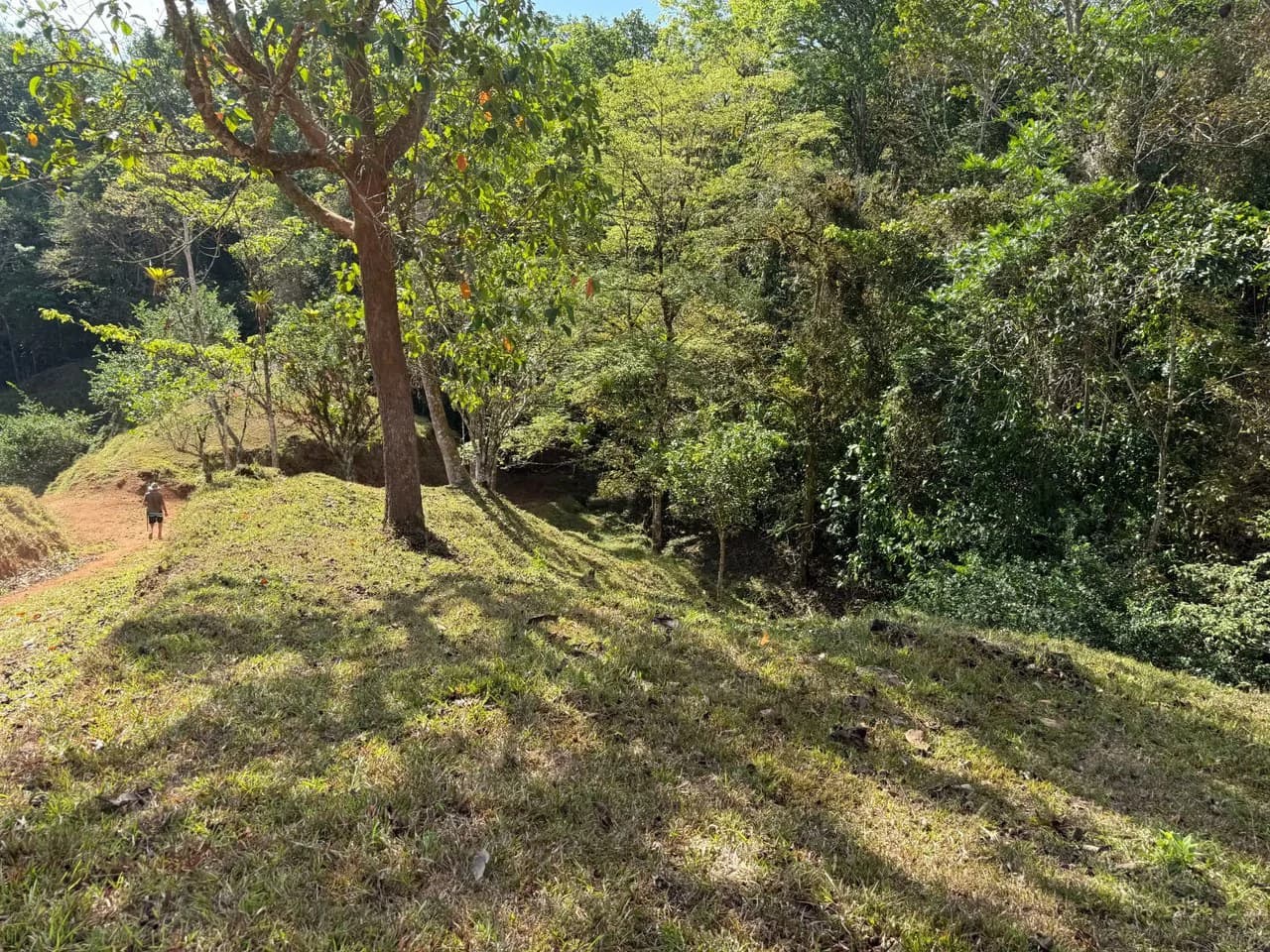 11.4 Hectare Mountain Estate: Lush Forest, River & Farm Potential in Arenal Puriscal , San Jose - photo 28