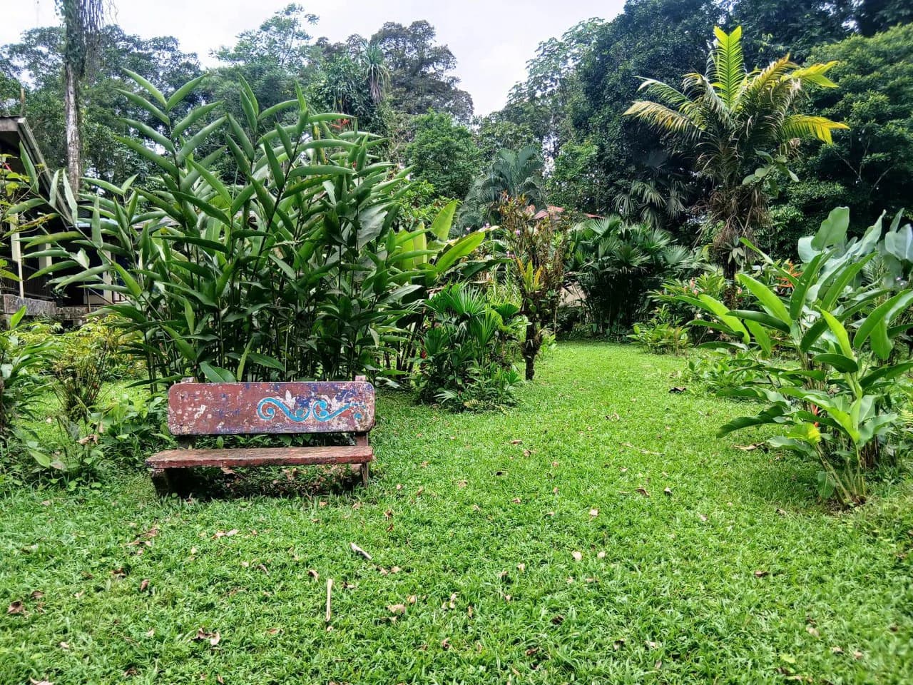 ECO TOURISM PARADISE: Turnkey Boutique Hotel in Nature! - photo 10