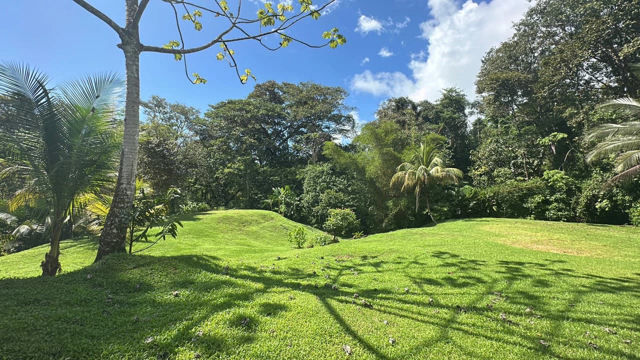 Development Parcel Central Uvita with River!