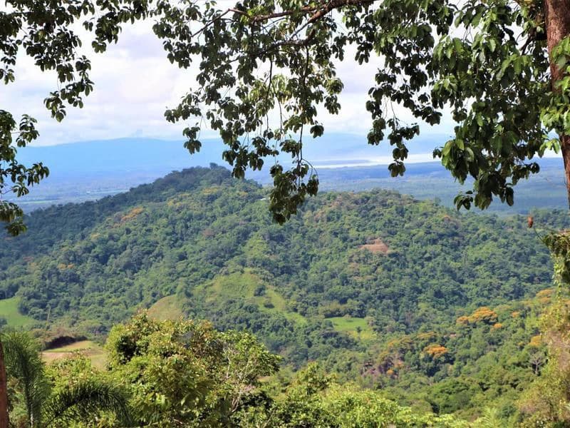 Captivating 3.15-Acre Property: Huge Pricedrop! Firesale Oceanview Lot in Tres Rios - photo 57