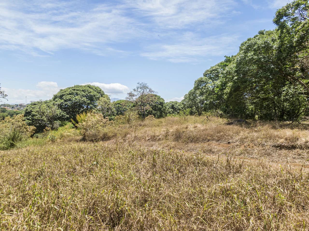 Land for development 10 hectares - photo 2