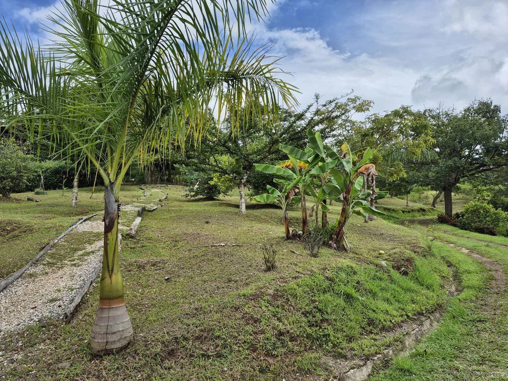 Casa Del Toro: Charm and Serenity in the Hills of Hojancha – 5-Bedroom House with Pool and Bungalow - photo 26
