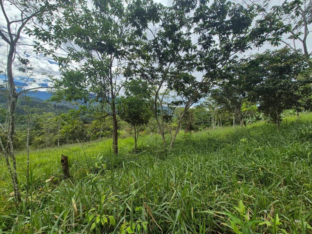 Se vende 6acres en San Antonio de Rivas, Pérez Zeledón: Countryside Home Construction Site For Sale in San Isidro del General - photo 16