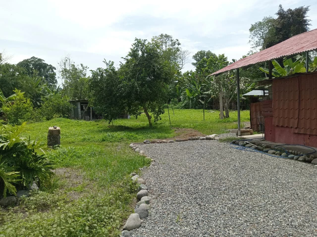 Farm home in Blanco: Ideal retirement farm at the foot of the rainforest - photo 6