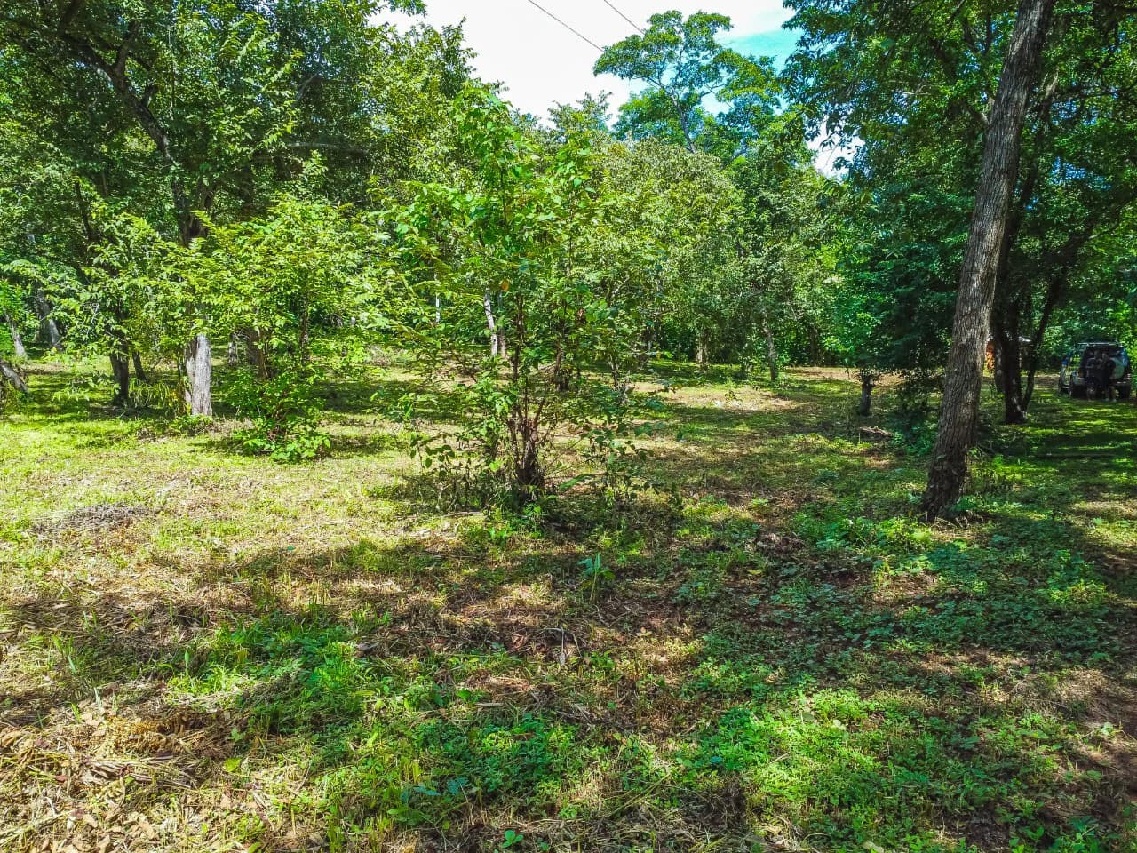 Residential Lot in Rancho Tranquilo - photo 4