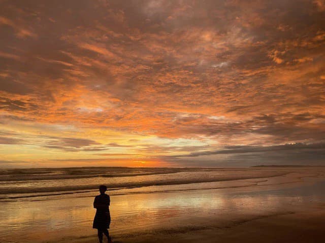 Casa Tortuga: The turtles are hatching! Playa Bejuco, walk to the Beach Home for Sale Costa Rica - photo 22