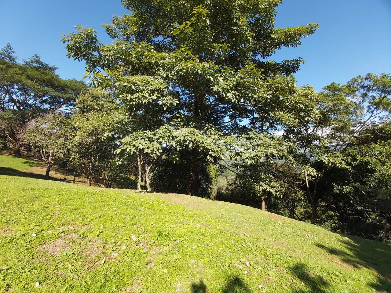 Mountain and Countryside Home Construction Site For Sale in Desmonte - photo 6