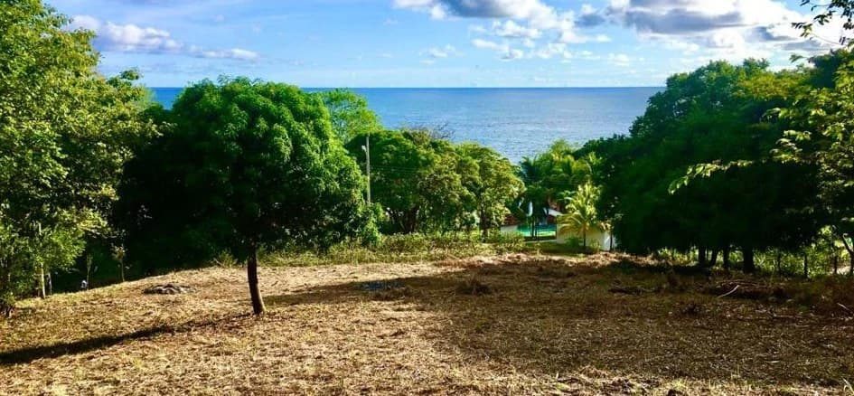 Oceanview property with a possible building project of 10 apartments for sale in Playa Carrillo - photo 7